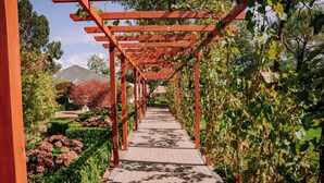 Un sendero en un jardín con una estructura de pérgola, rodeado de abundante vegetación y plantas con flores.