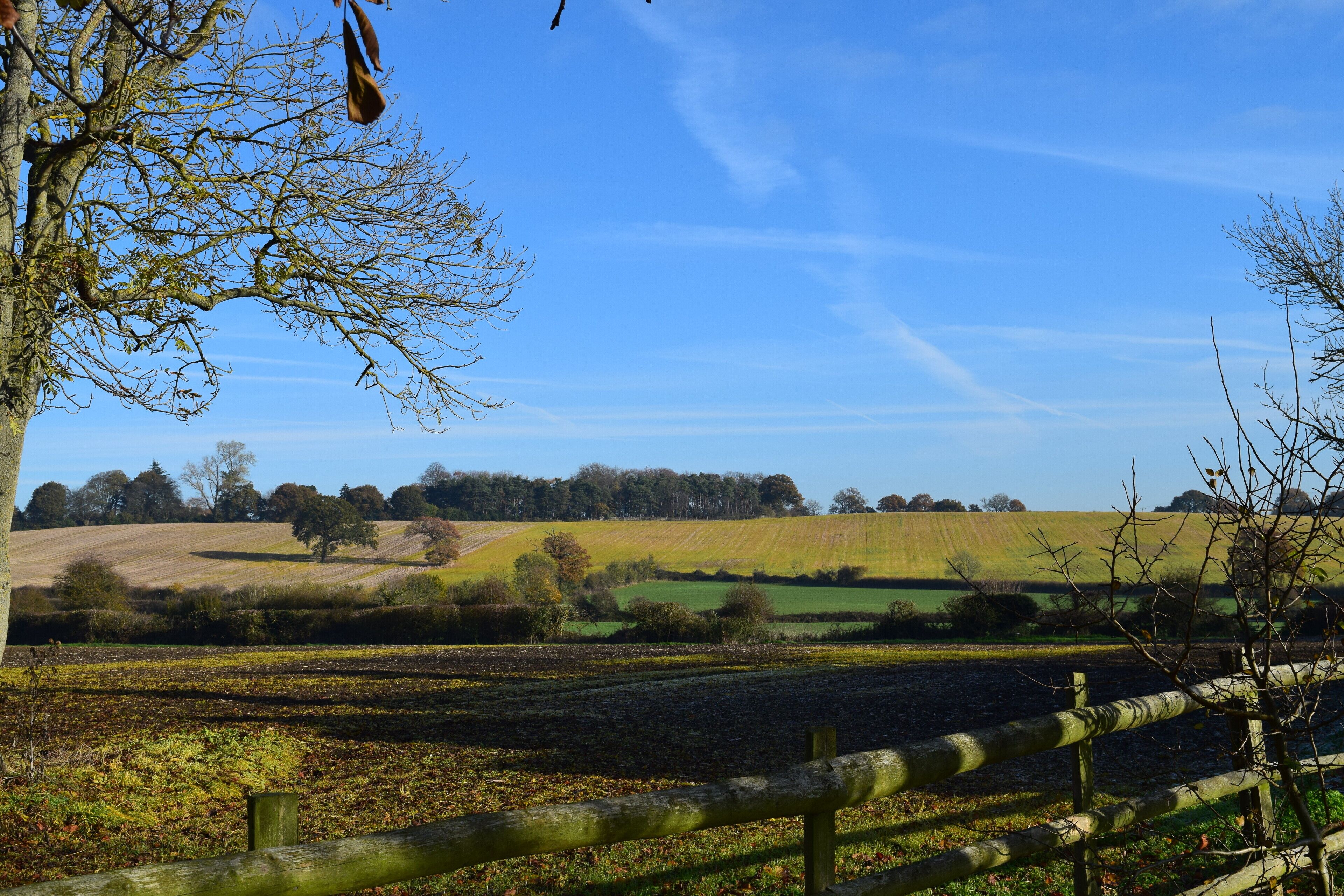 Superior Suite, 1 King Bed, Ensuite, Garden View | View from room