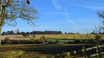 Superior Suite, 1 King Bed, Ensuite, Garden View | View from room