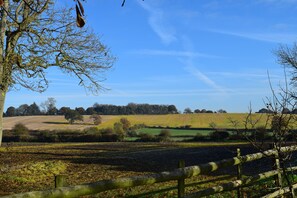 Superior Suite, 1 King Bed, Ensuite, Garden View | View from room - Downham Hall (Billericay)