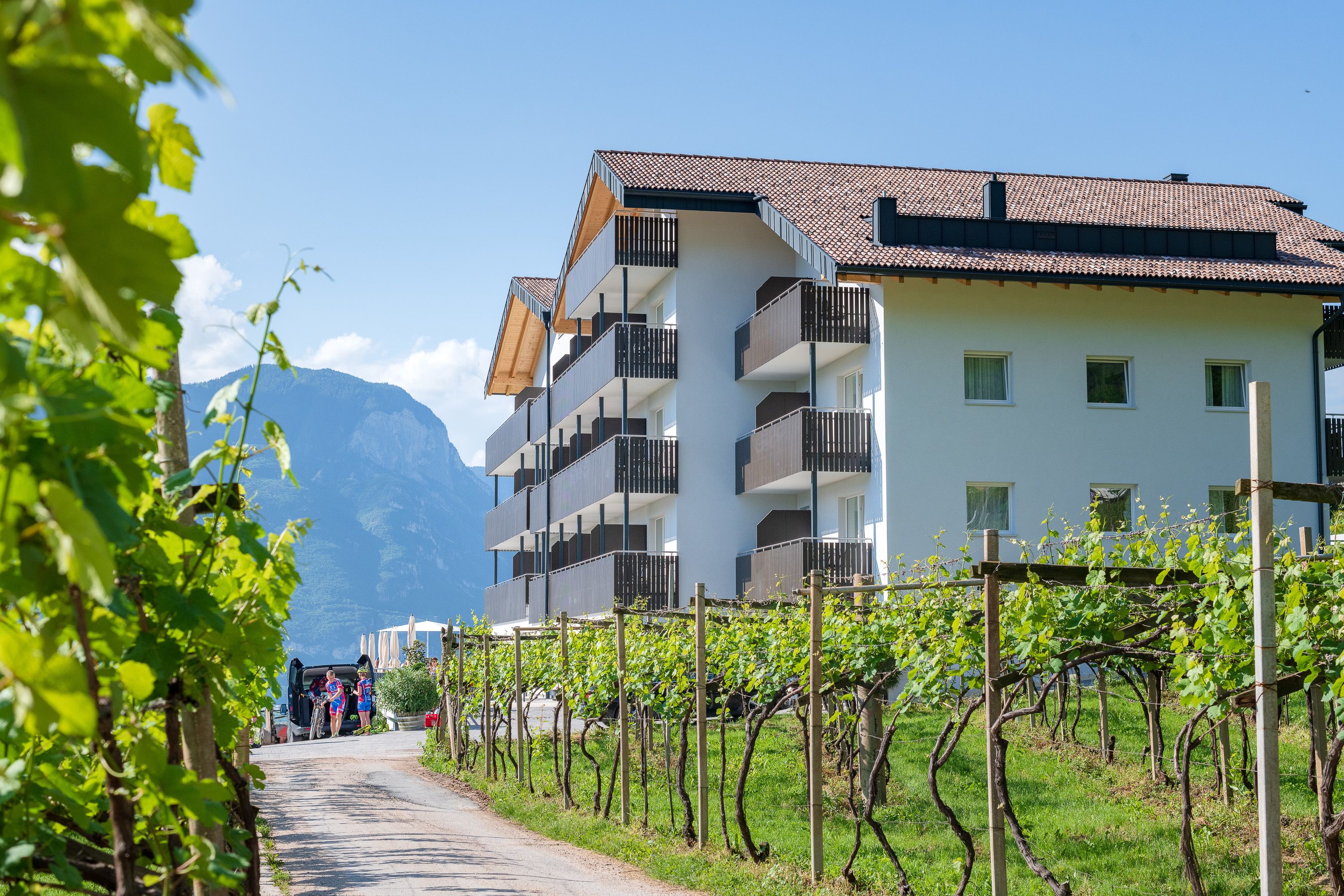 A multi-story building with balconies, a vineyard in the foreground, and mountains in the background.