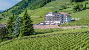 A hotel with multiple balconies overlooking a vineyard. - Vineus (Termeno Sulla Strada del Vino)