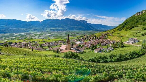 A town nestled in a valley with vineyards, a church, and mountains in the background. - Vineus (Termeno Sulla Strada del Vino)