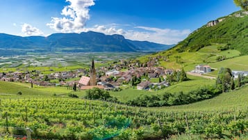 Vue de la chambre