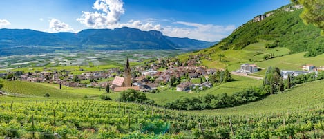 Studio Confort, 1 chambre | Vue de la chambre