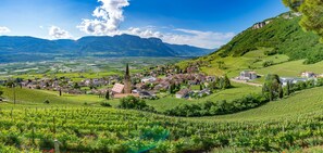 A town nestled in a valley with vineyards, a church, and mountains in the background. - Vineus (Termeno Sulla Strada del Vino)