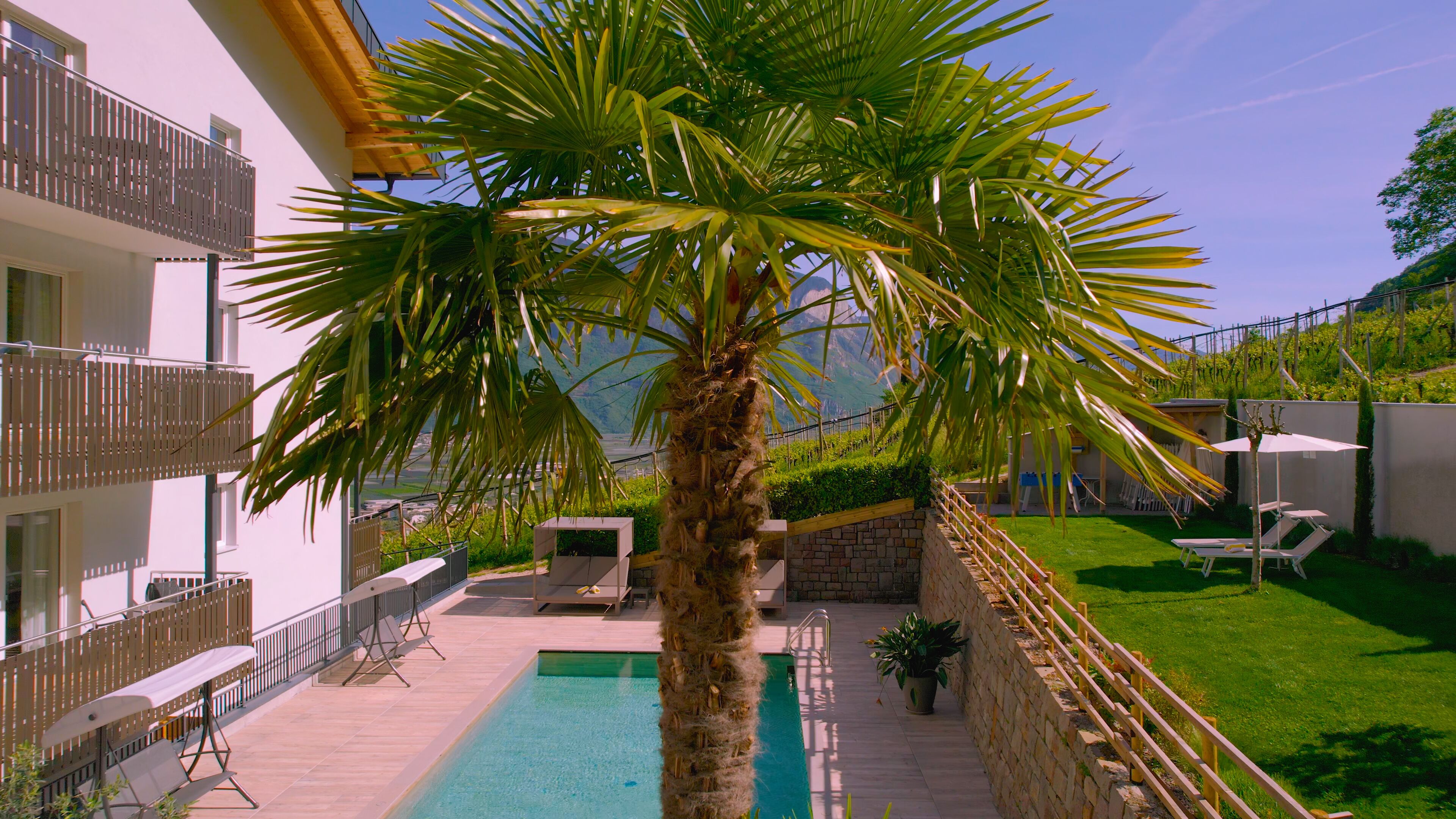 outdoor pool, a lap pool, pool loungers