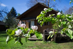 Property grounds - Cabañas Playa Linda (Villarrica)