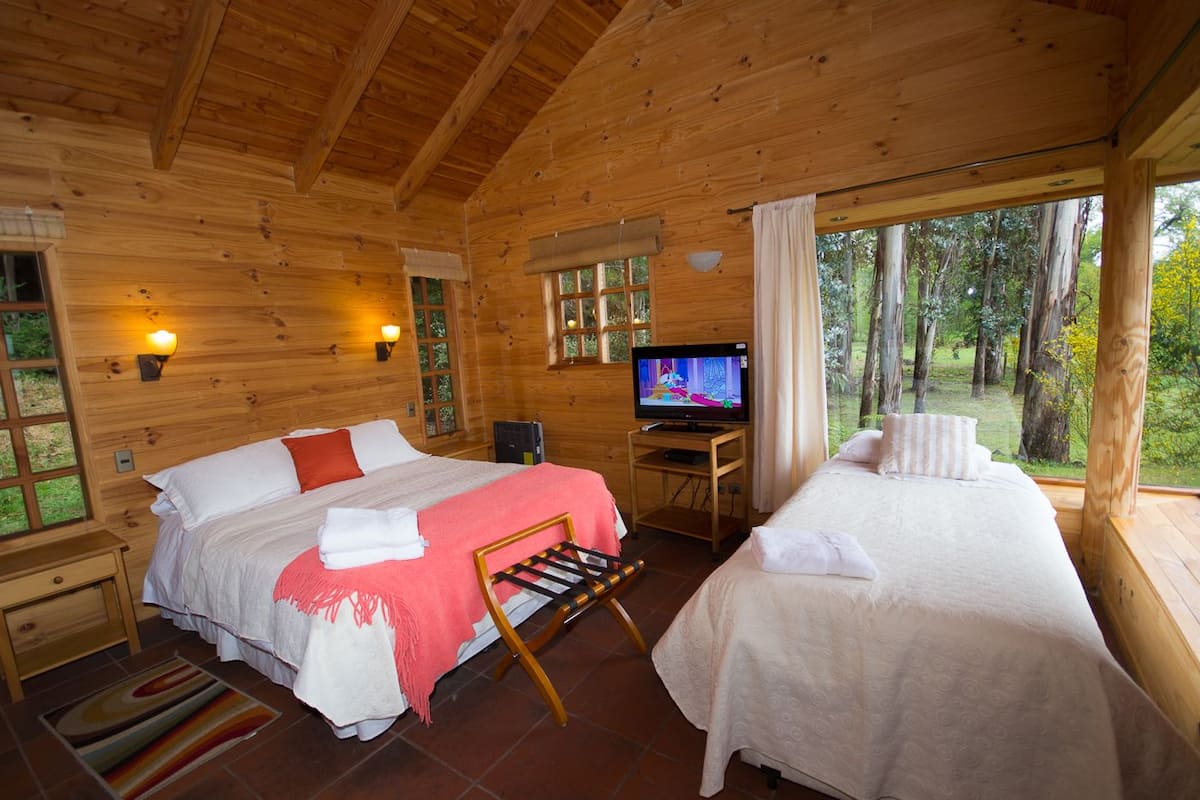 Une cabane équipée de deux lits, d’une télévision et d’une fenêtre donnant sur la forêt.