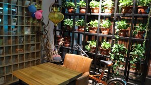 Una habitación con una mesa de madera, una silla de cuero, una bicicleta y una pared llena de plantas en macetas.