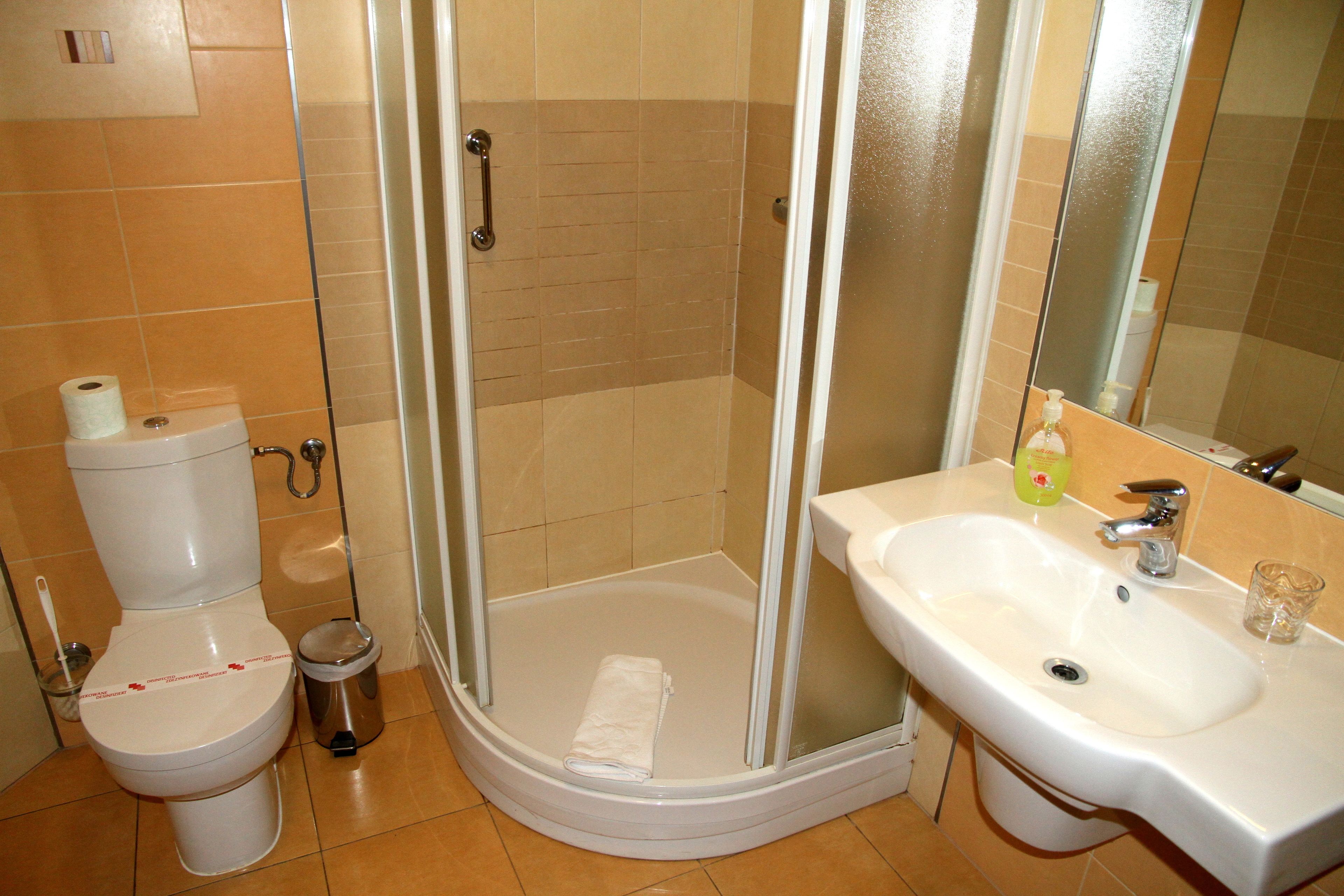 deluxe double or twin room | bathroom | shower, free toiletries, hair dryer, towels