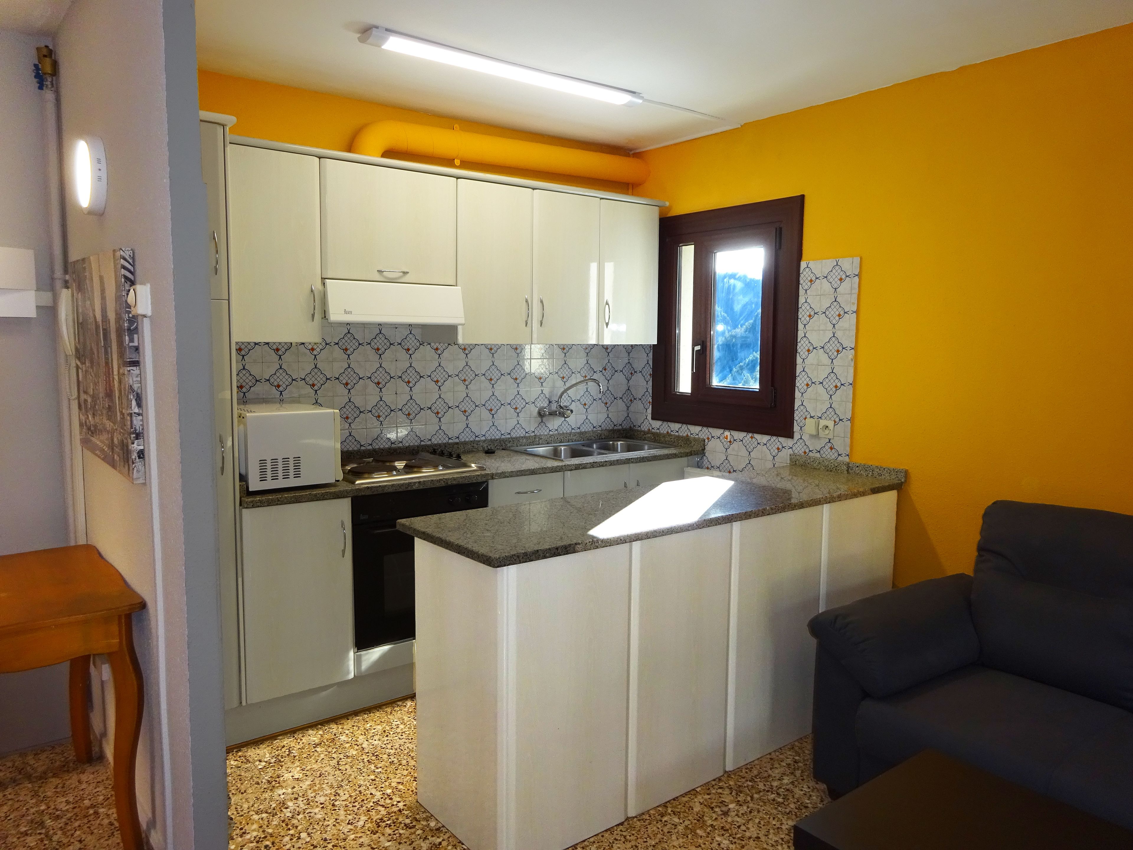 Apartamento básico, 2 habitaciones | Cocina privada | Frigorífico grande, microondas, placa de cocina y utensilios de cocina