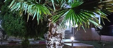 Ngoại thất