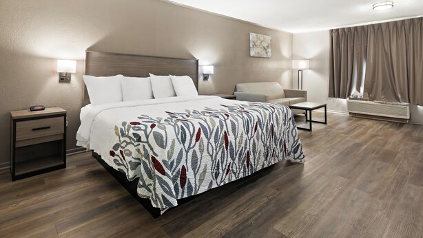 A hotel room with a large bed, bedside tables, a chair, a desk, a lamp, and a window with curtains. - Red Roof Inn & Suites Monroe, NC (Monroe)