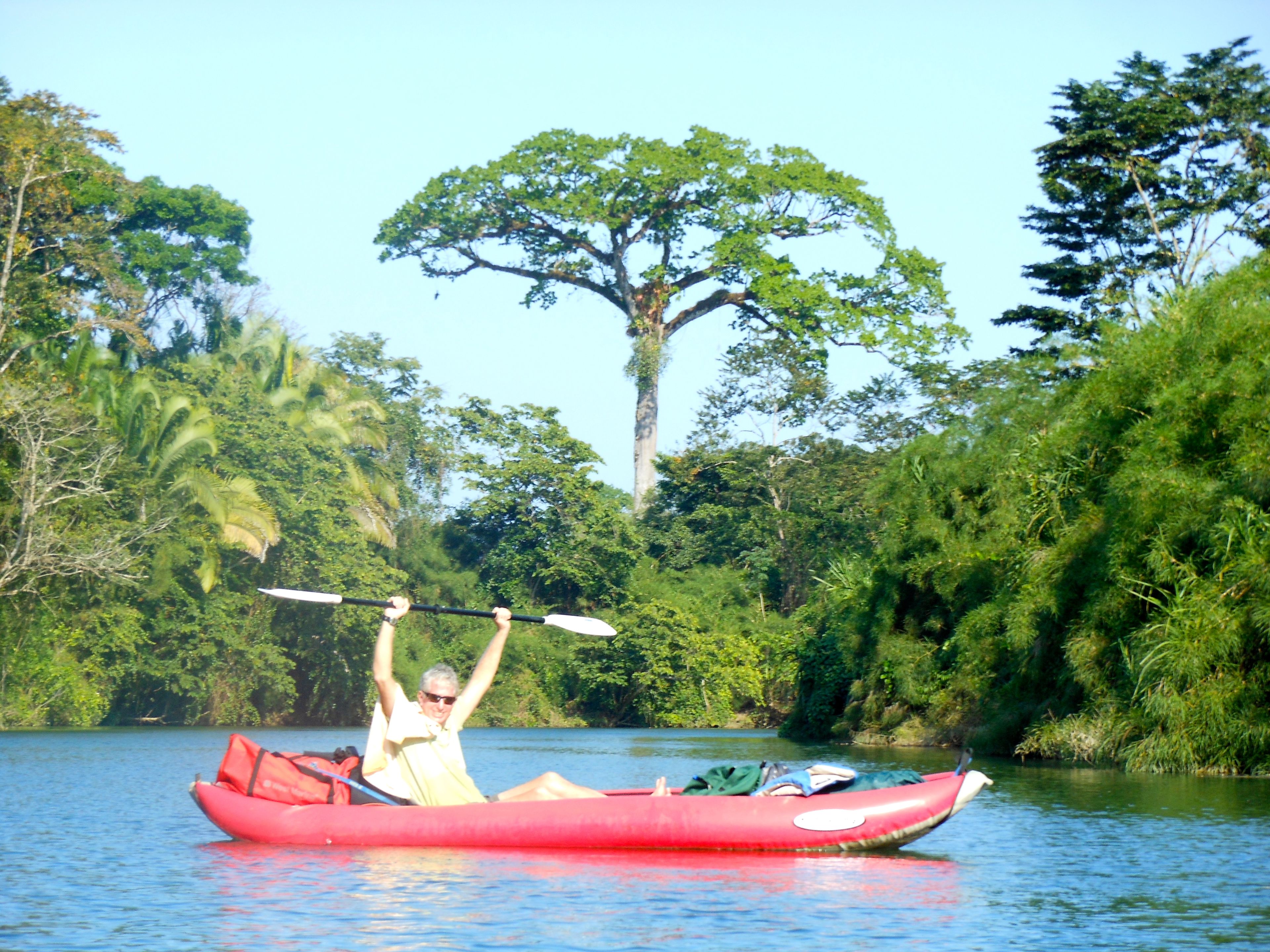 A person kayaking on a river surrounded by dense greenery and trees.