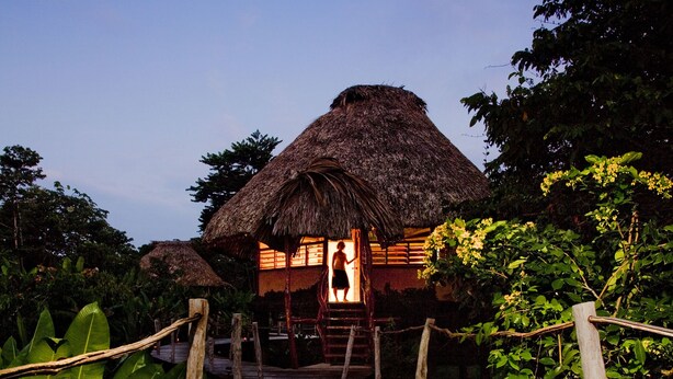 A wooden pathway leading to a thatched-roof structure with a person visible inside. - Cotton Tree Lodge (Punta Gorda)