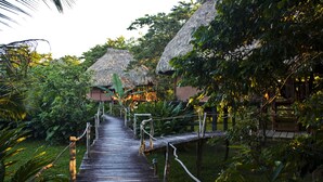 A wooden pathway leading to thatched-roof huts surrounded by lush greenery. - Cotton Tree Lodge (Punta Gorda)