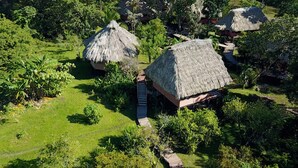 A thatched-roof structure surrounded by lush greenery, likely a bungalow or guest house. - Cotton Tree Lodge (Punta Gorda)
