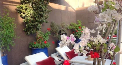 Riad Syba