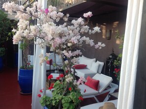 Single Room, Pool View (Zora) | View from room
