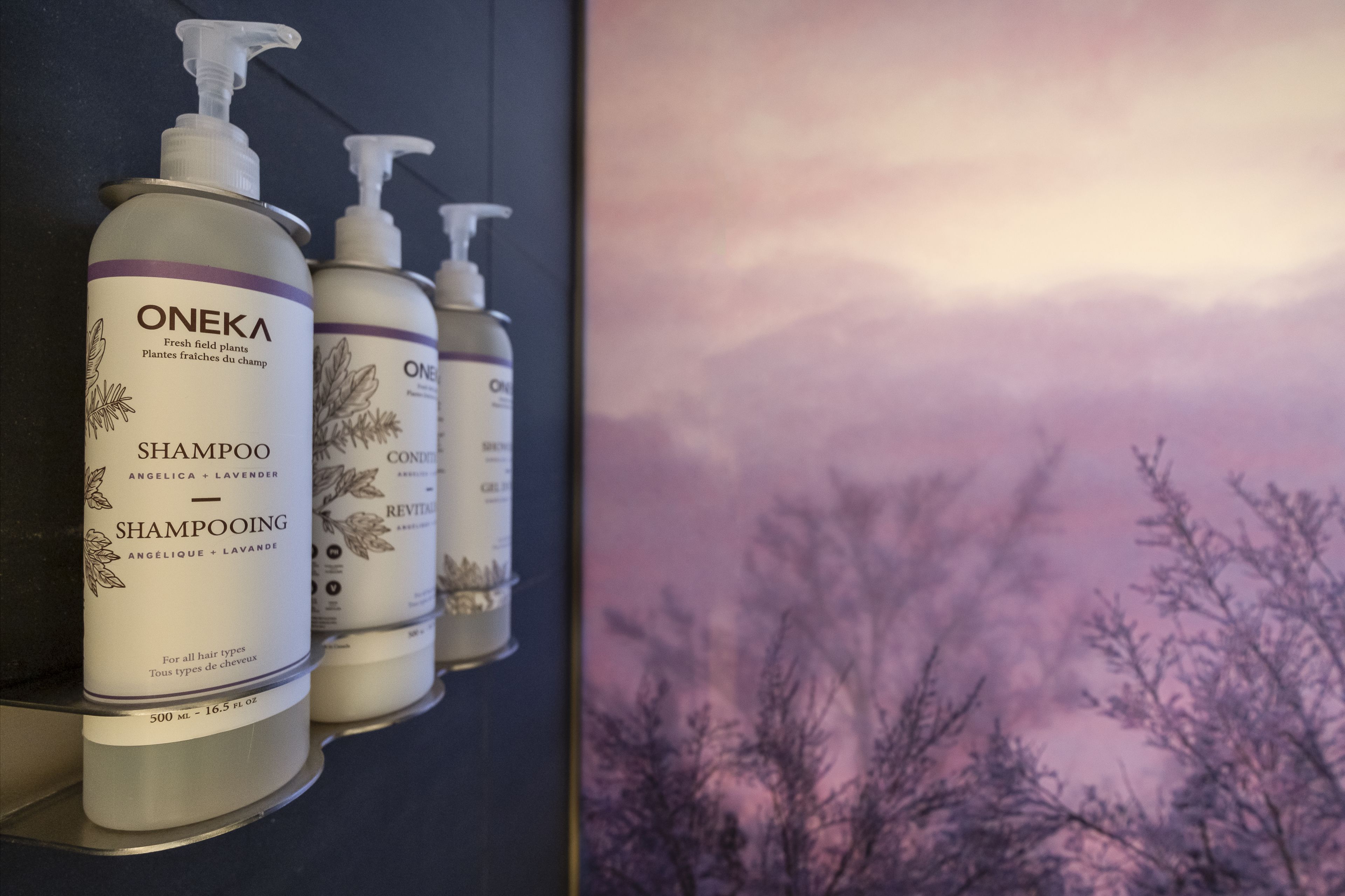 Fileira de garrafas de shampoo em uma prateleira, com árvores secas ao fundo sob um céu roxo.