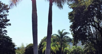 Aventurero Veracruzano