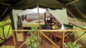 Room - Aventurero Veracruzano (Xalapa)