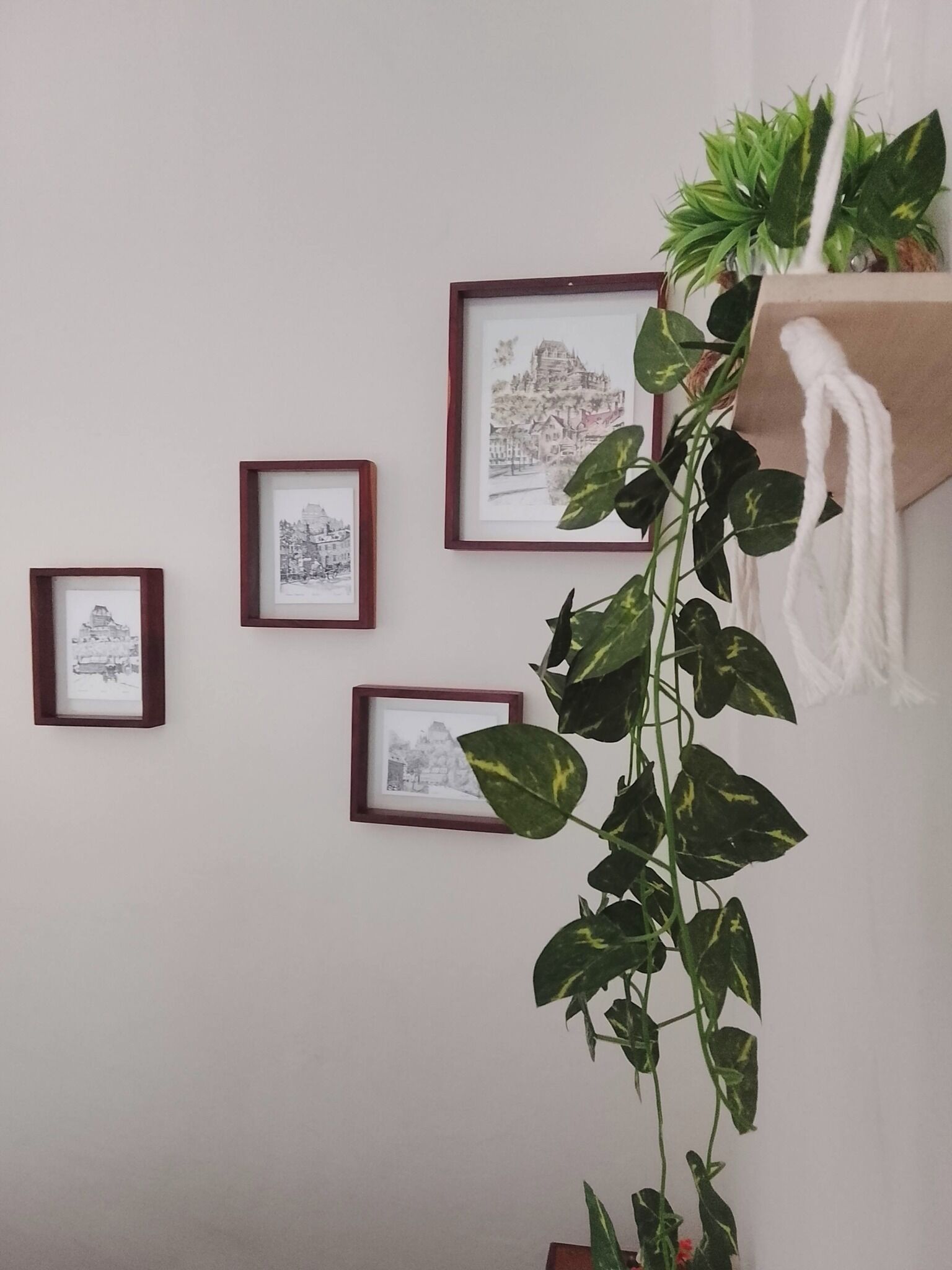 A wall with four framed black and white photographs, a hanging plant with variegated leaves, and a white cloth draped over a shelf.