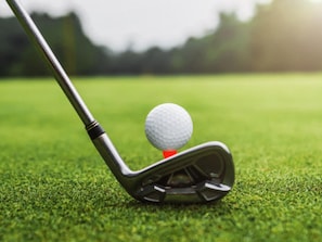 A golf ball on a tee with a golf club. - Holiday Inn Express & Suites Summerville by IHG (Summerville)