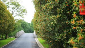 A pathway flanked by neatly trimmed hedges with orange flowers, leading to a covered bridge. - Holiday Inn Kunshan Huaqiao by IHG (Suzhou)