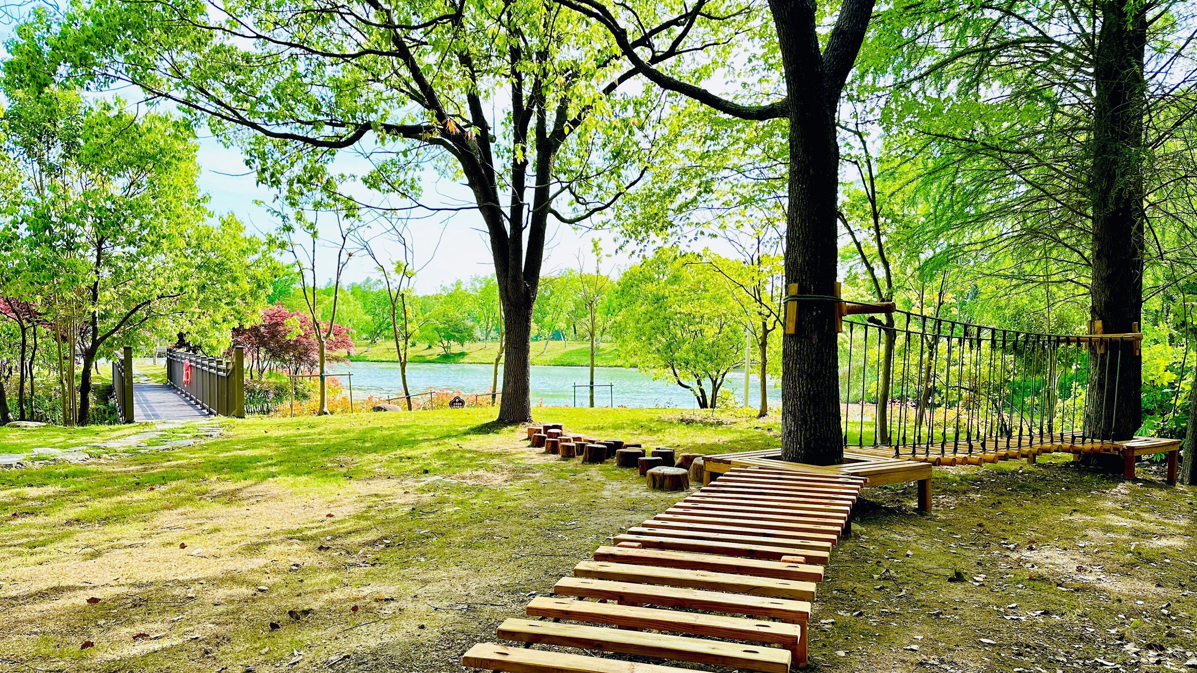 Un sendero de madera que conduce a un área con bancos de madera, con un puente colgante sobre el agua, rodeado de árboles.