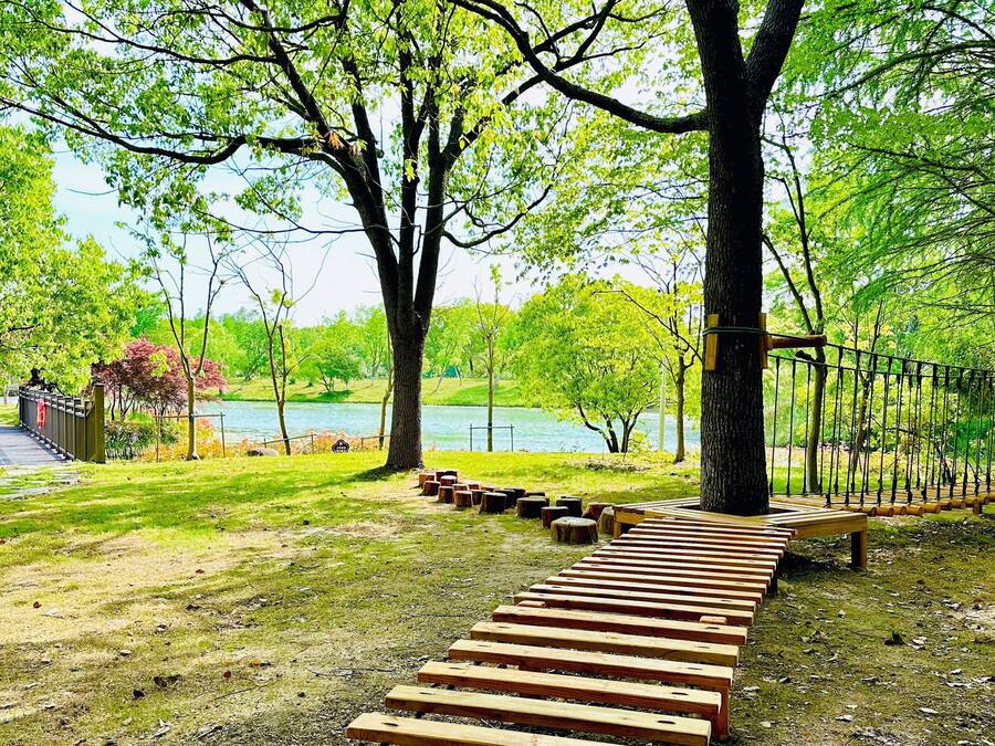 Un sendero de madera que conduce a un área con bancos de madera, con un puente colgante sobre el agua, rodeado de árboles.