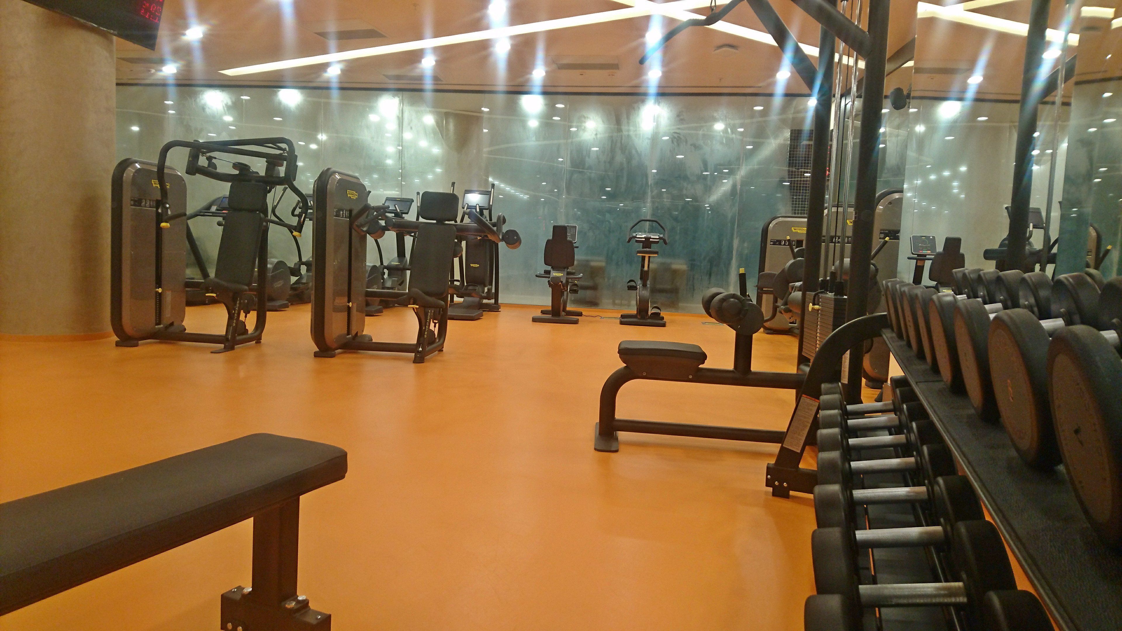 Ein Fitnessstudio mit unterschiedlichen Trainingsgeräten, darunter Laufbänder, Kraftgeräte und Kurzhanteln.
