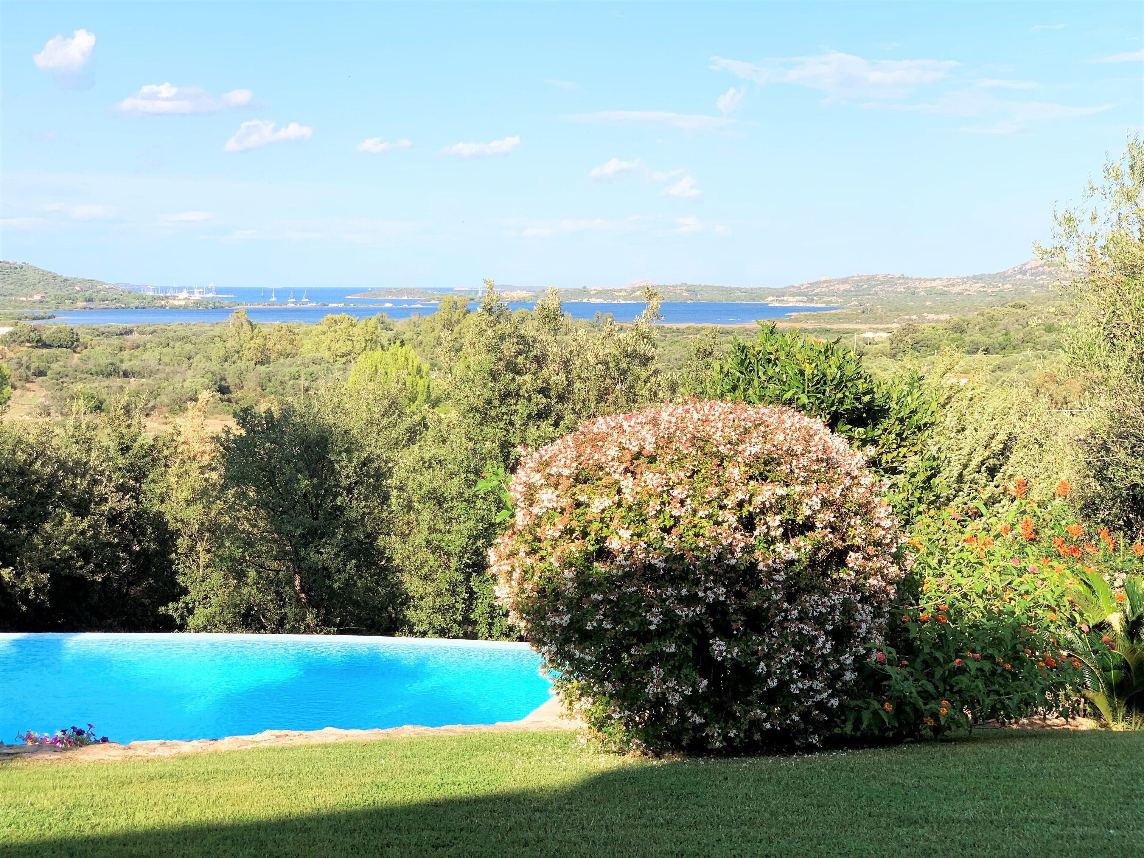 A pool surrounded by lush greenery and a view of a lake and distant hills.