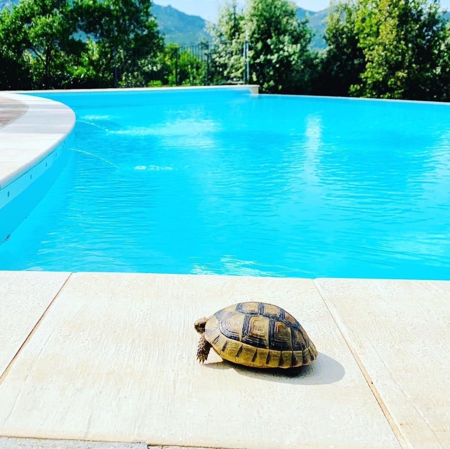 Foto - Villa Anastasia