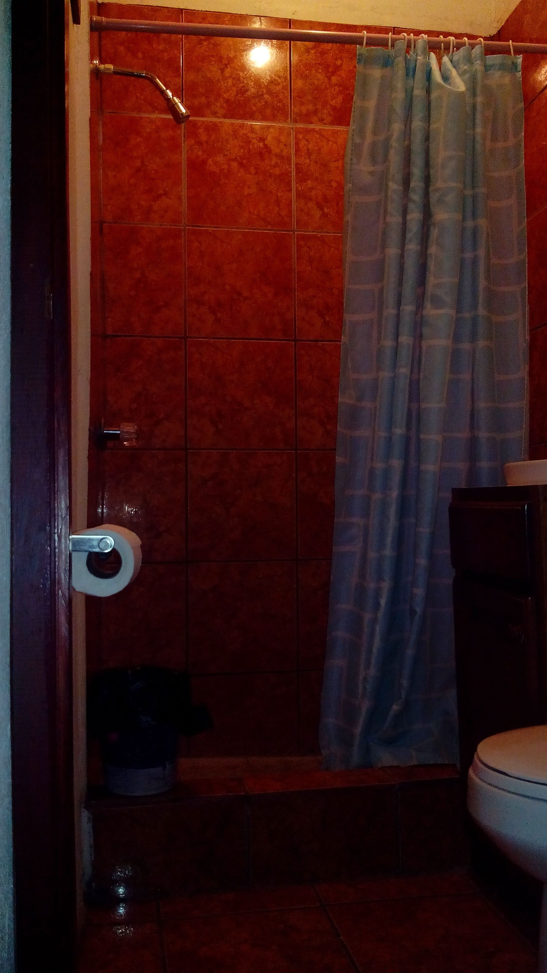 A bathroom with a shower, a toilet, and a roll of toilet paper on the wall.