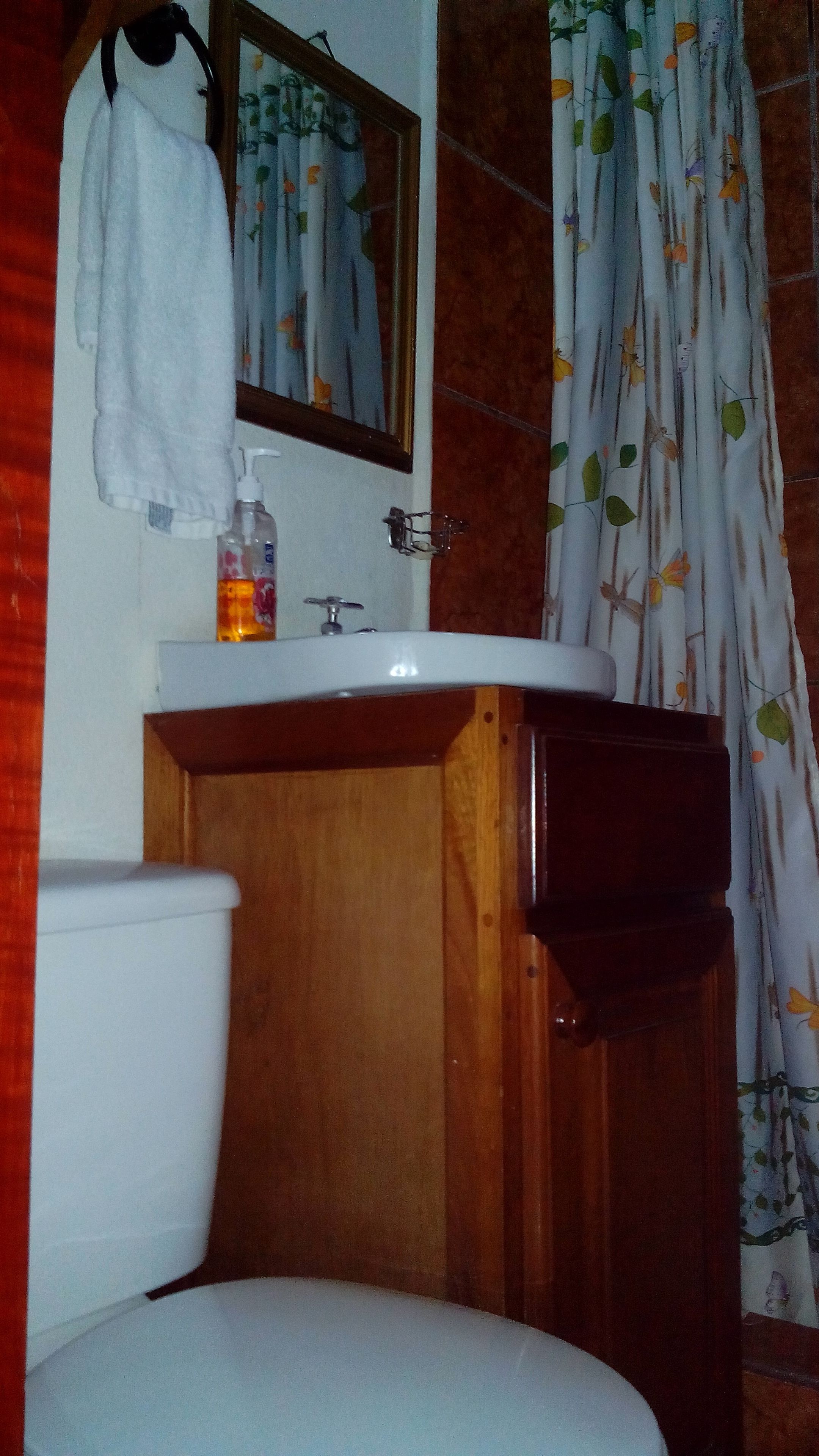 A bathroom with a white toilet, a wooden cabinet, a white sink, a mirror, and a shower curtain with a leaf pattern.