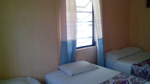Family Triple Room, Multiple Beds, Private Bathroom, City View | View from room - Don Santiago Guesthouse Downtown (San Ignacio)