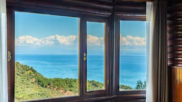 Vista desde la habitación