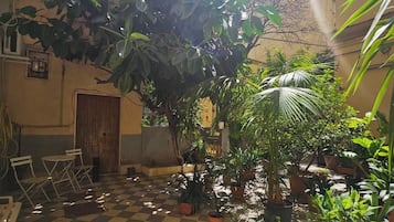 Un patio con piso a cuadros, plantas en macetas y una puerta de madera.