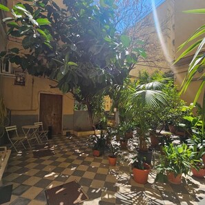 Un patio con piso a cuadros, plantas en macetas y una puerta de madera.