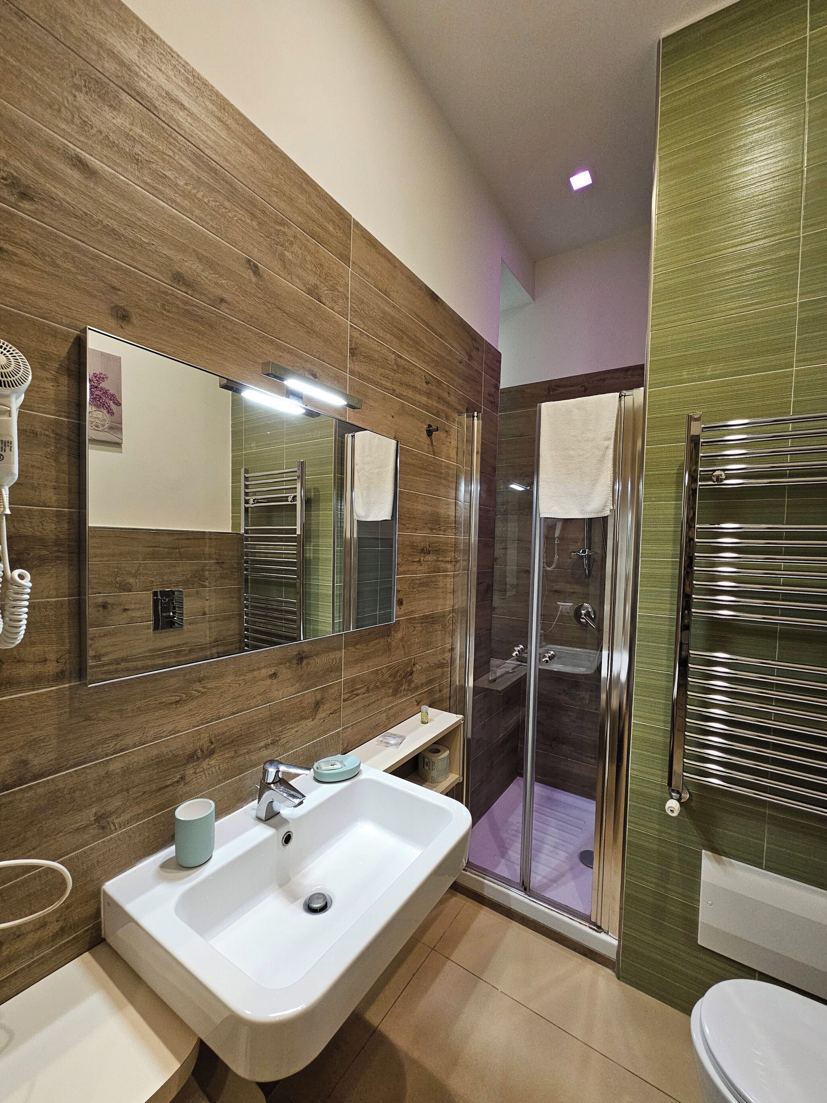 Singola Deluxe | Bagno | Doccia, asciugacapelli, bidet, asciugamani