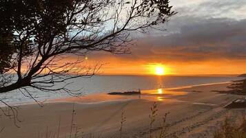 Ein Strand mit Sonnenuntergang, Bäumen und einem klaren Himmel.