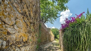 A narrow stone pathway flanked by a moss-covered wall and hanging greenery. - Villa Aelia (Zakynthos)