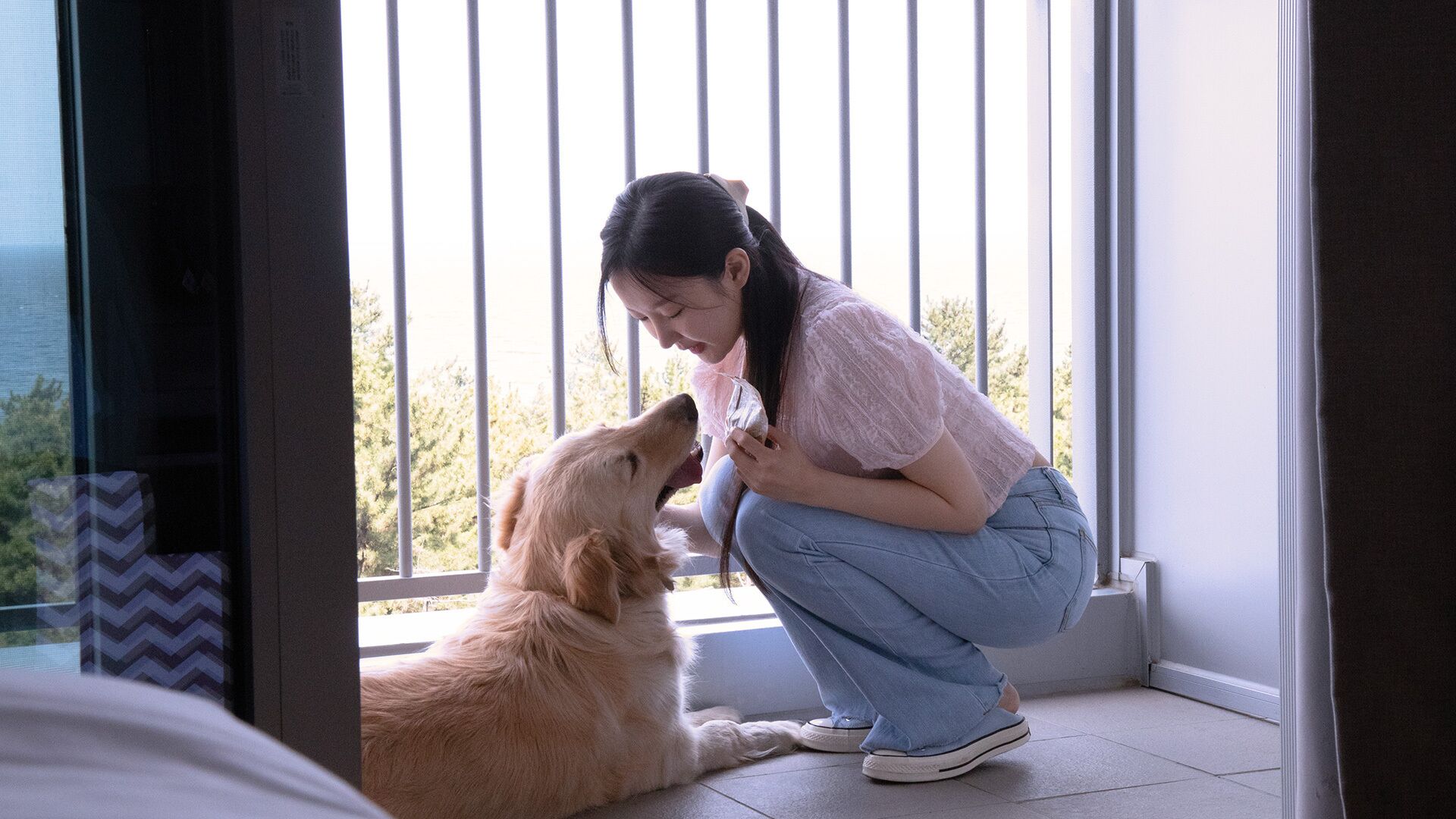 반려동물 동반 가능