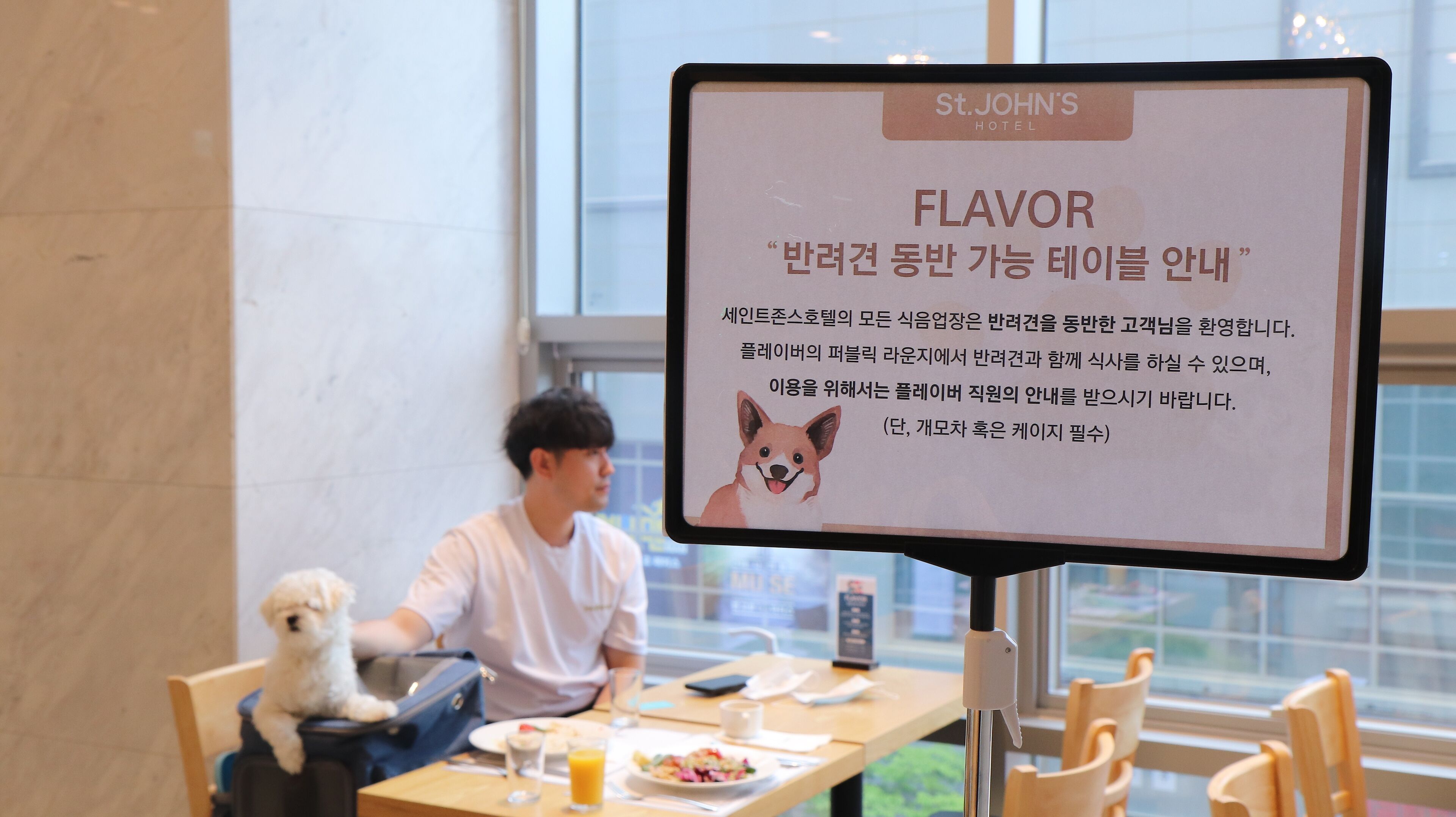 A hotel sign with a dog illustration and text in Korean, a person sitting at a table with a dog, and a meal with a glass of orange juice.