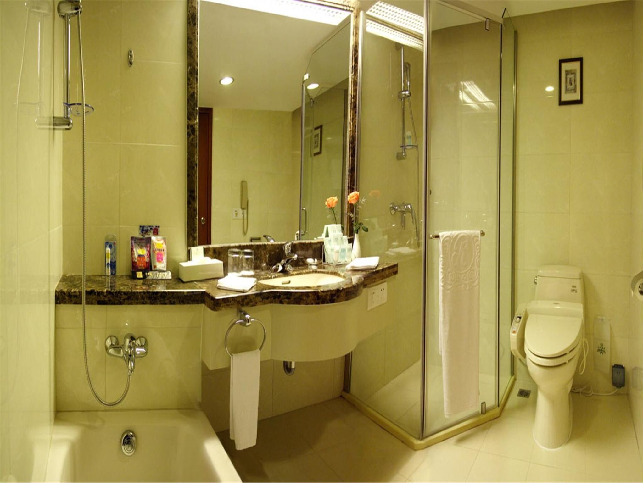 combined shower/bathtub, free toiletries, hair dryer, slippers