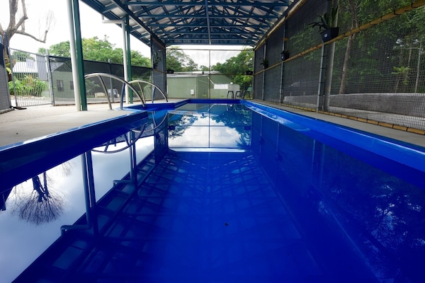 Indoor pool, outdoor pool, open 8:00 AM to 4:00 PM, pool loungers
