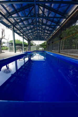 Indoor pool, outdoor pool, open 8:00 AM to 4:00 PM, pool loungers - Daintree Peaks ECO Stays (Diwan)
