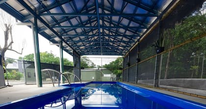 Daintree Peaks ECO Stays